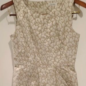 Calvin Klein Sheath Dress Jacquard